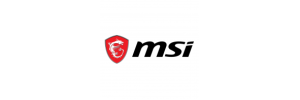 MSI